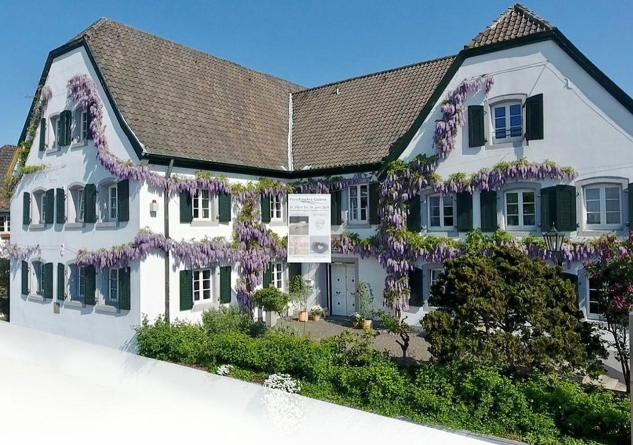 Rhein River Guesthouse - Direkt Am Rhein ليفركوزن المظهر الخارجي الصورة