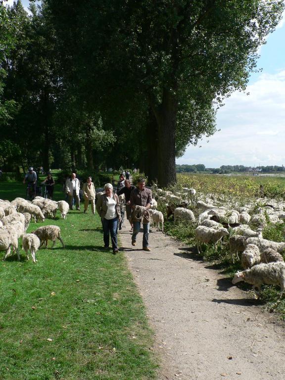 Rhein River Guesthouse - Direkt Am Rhein ليفركوزن المظهر الخارجي الصورة