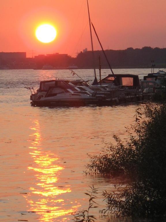 Rhein River Guesthouse - Direkt Am Rhein ليفركوزن المظهر الخارجي الصورة
