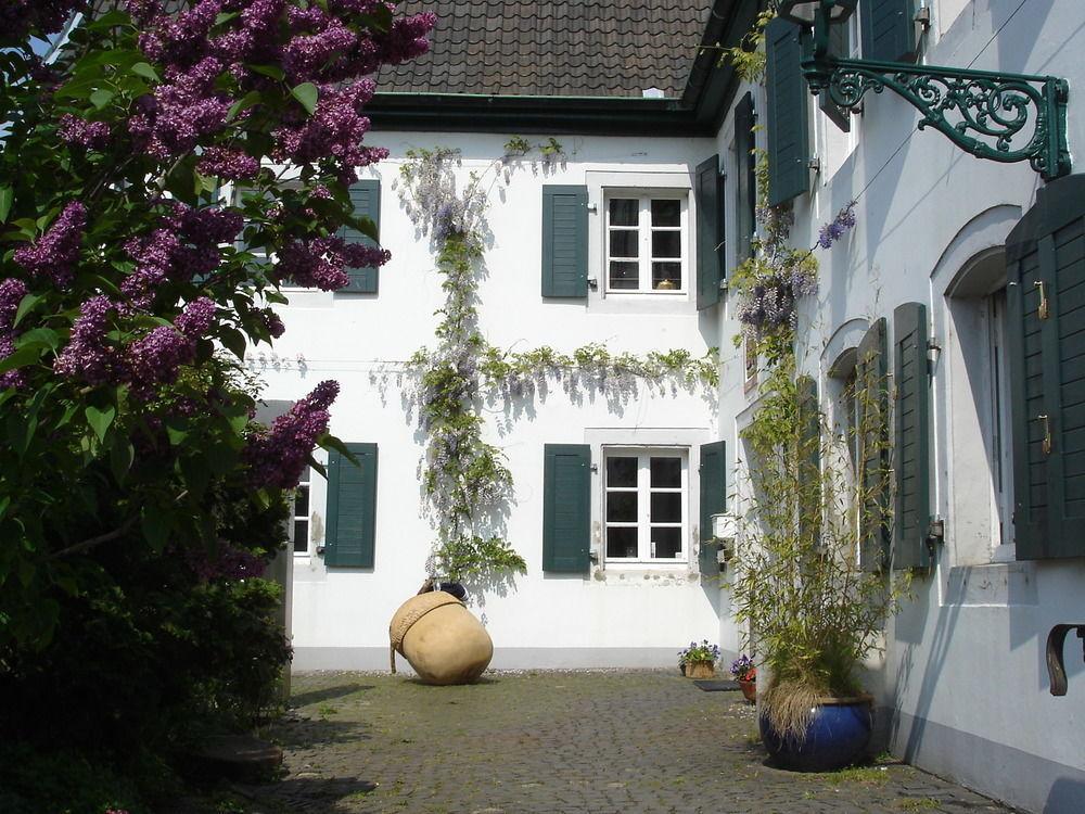 Rhein River Guesthouse - Direkt Am Rhein ليفركوزن المظهر الخارجي الصورة