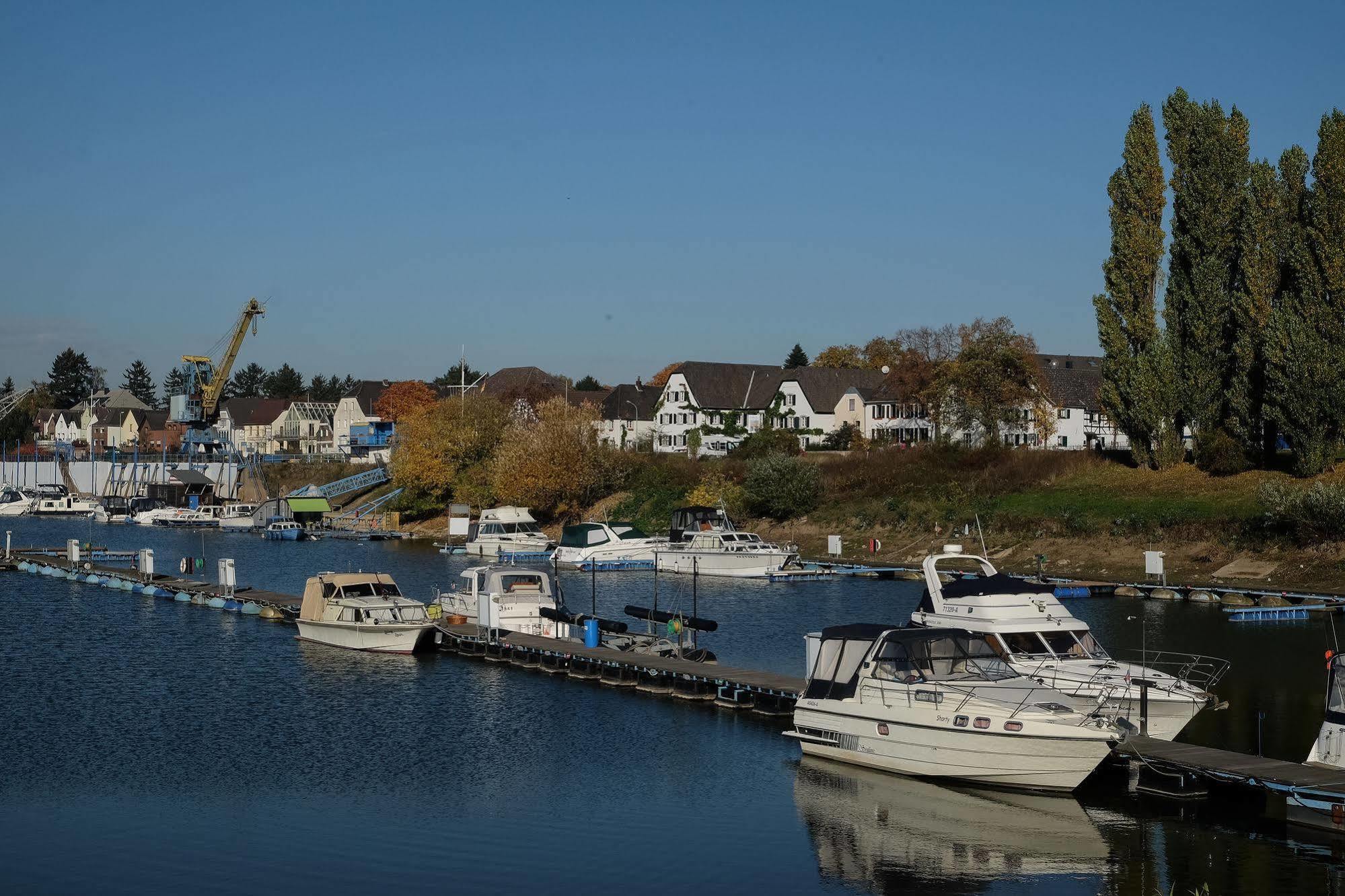 Rhein River Guesthouse - Direkt Am Rhein ليفركوزن المظهر الخارجي الصورة