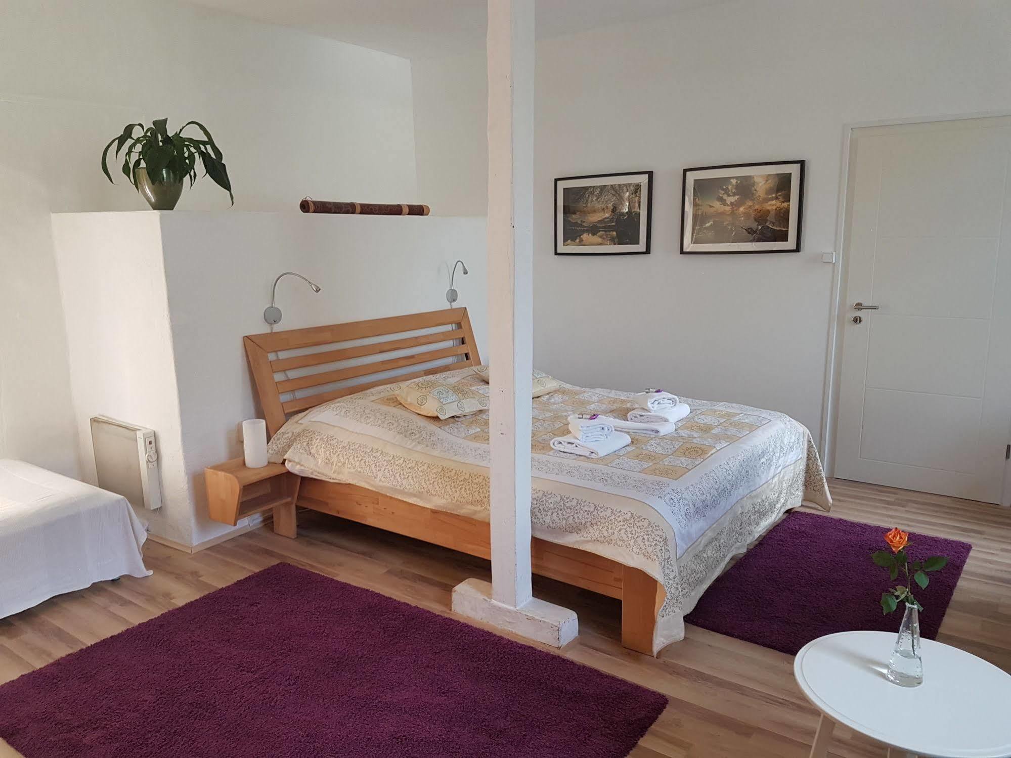 Rhein River Guesthouse - Direkt Am Rhein ليفركوزن المظهر الخارجي الصورة